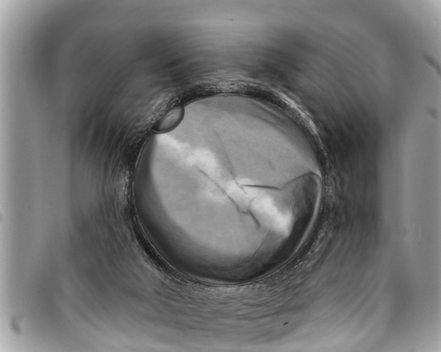 X0000094420018200711291600