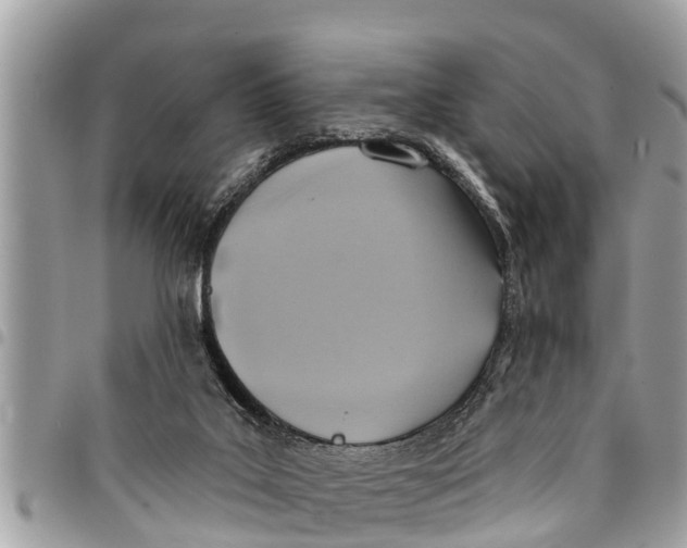 X0000094420019200711291600