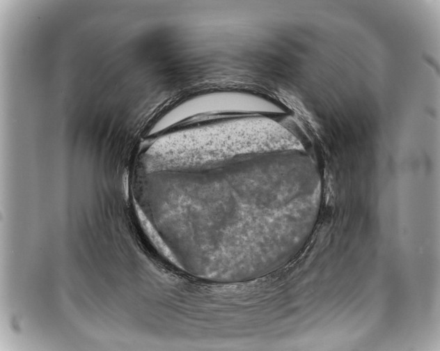 X0000094420021200711291600