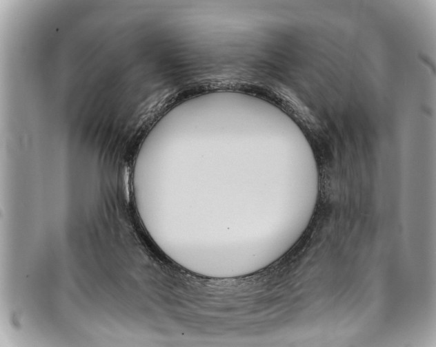 X0000094420022200711291600