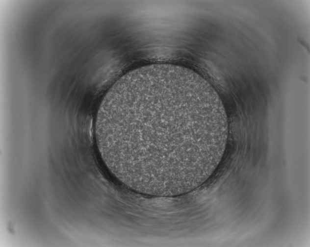 X0000094420024200711291600