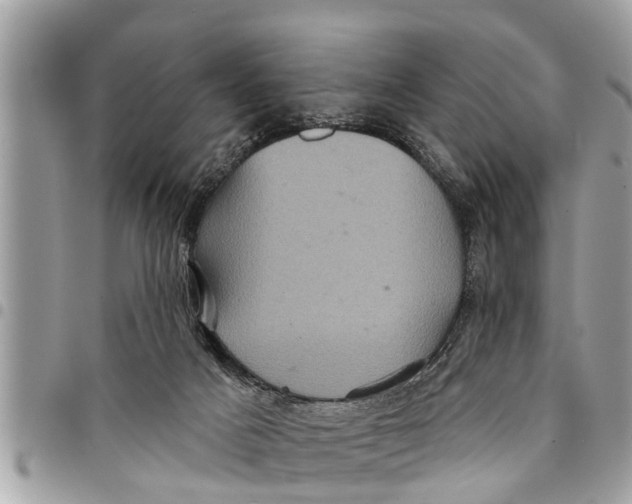 X0000094420025200711291600