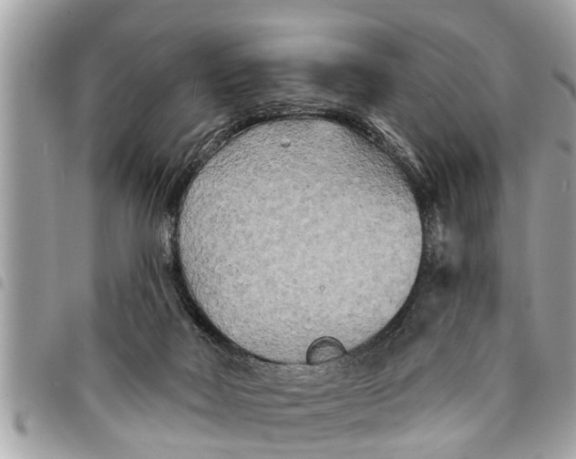 X0000094420026200711291600