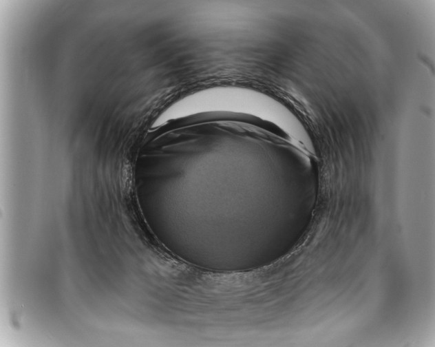 X0000094420029200711291600