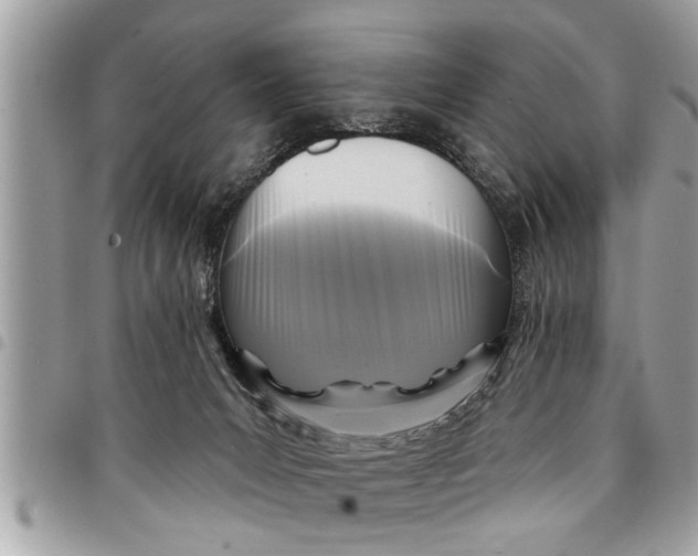 X0000094420031200711291600