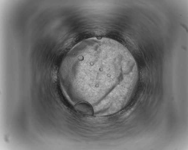 X0000094420032200711291600