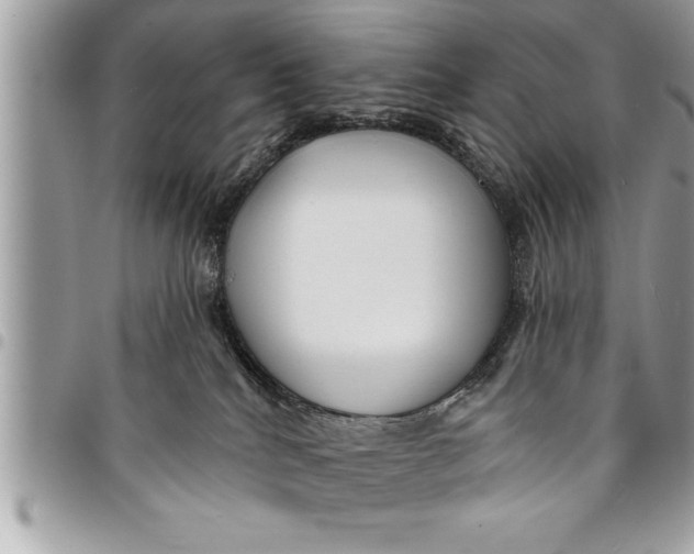 X0000094420040200711291600