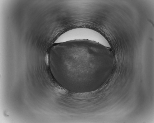 X0000094420041200711291600