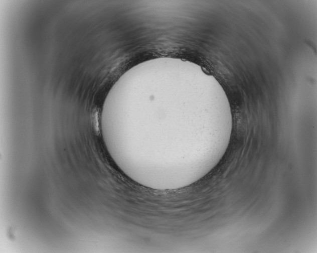 X0000094420042200711291600