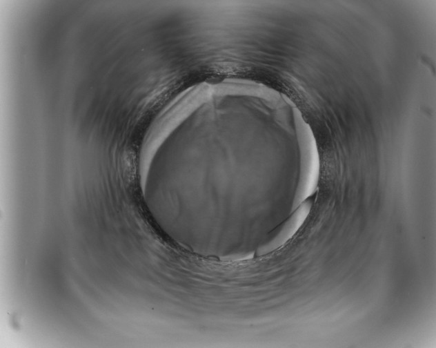 X0000094420043200711291600