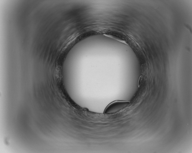 X0000094420044200711291600