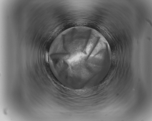 X0000094420046200711291600