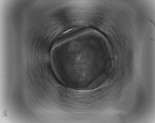 X0000094420048200711291600