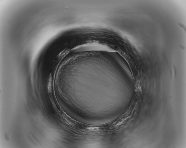 X0000094420052200711291559