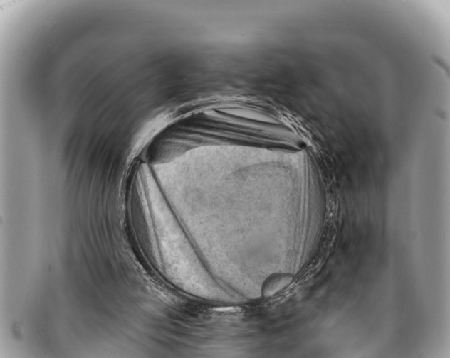 X0000094420053200711291559