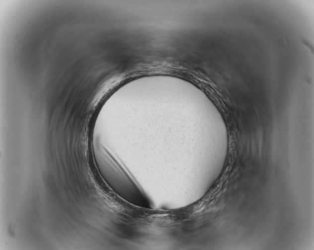 X0000094420054200711291559