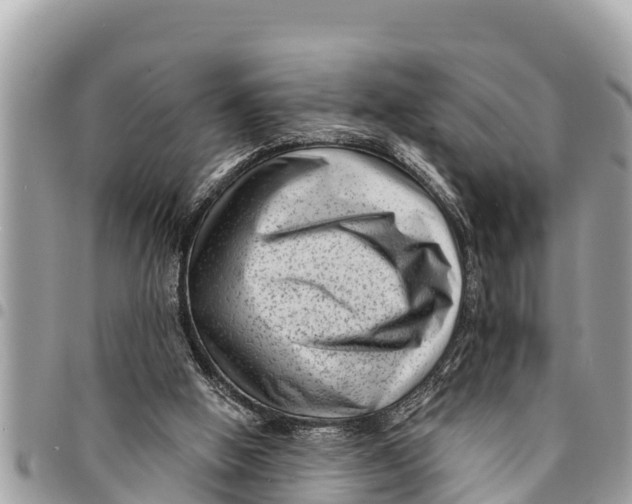 X0000094420058200711291559