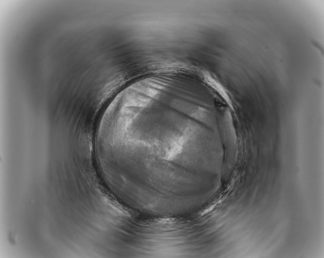 X0000094420059200711291559