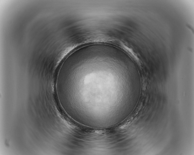 X0000094420060200711291559