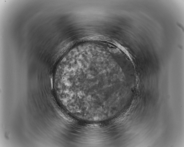 X0000094420061200711291559