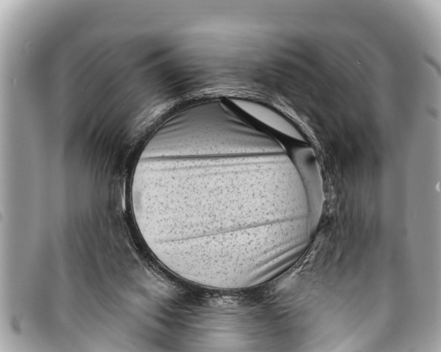 X0000094420062200711291559