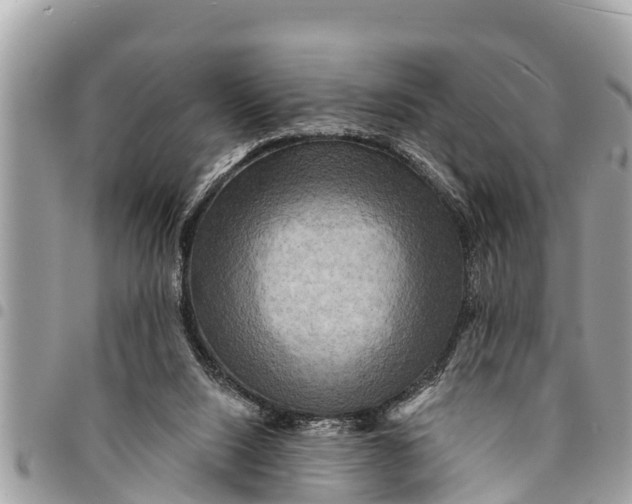 X0000094420064200711291559