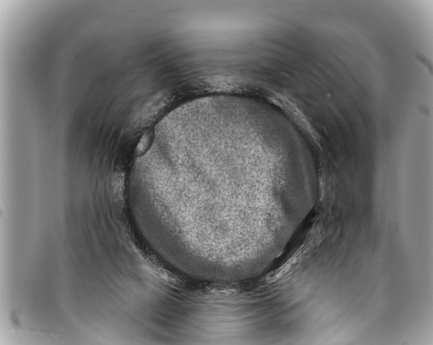 X0000094420066200711291559