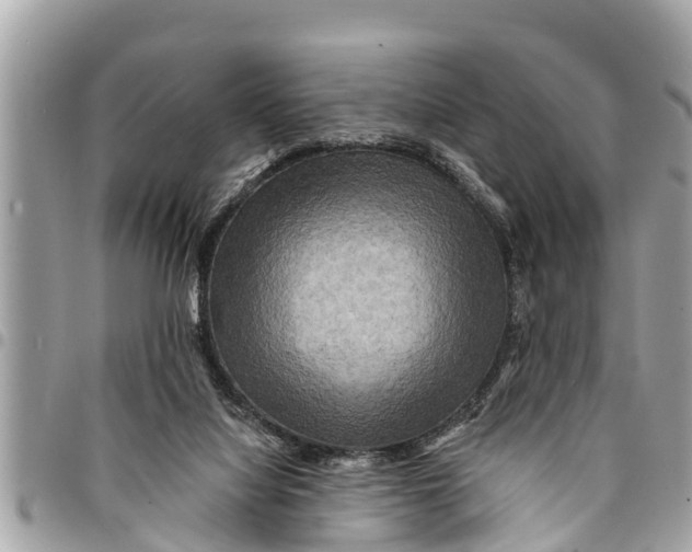 X0000094420068200711291559