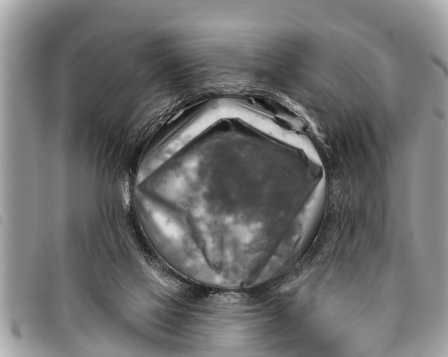 X0000094420069200711291559