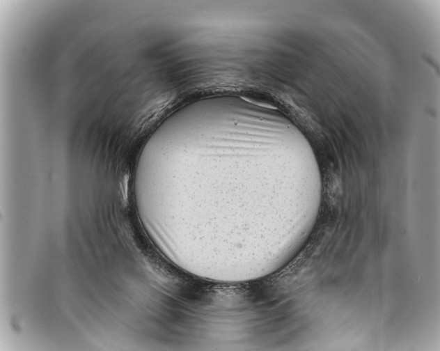 X0000094420070200711291559