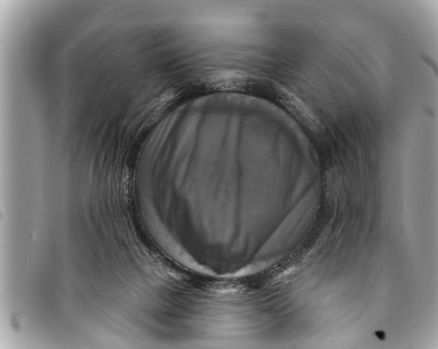 X0000094420073200711291559