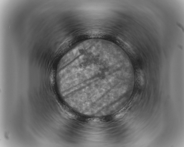 X0000094420074200711291559