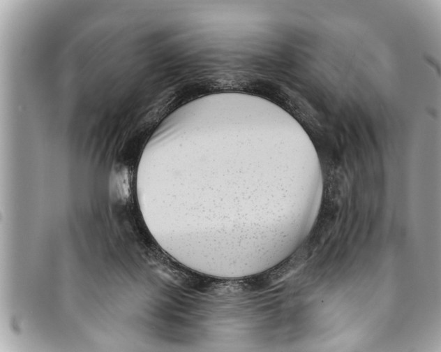 X0000094420075200711291600