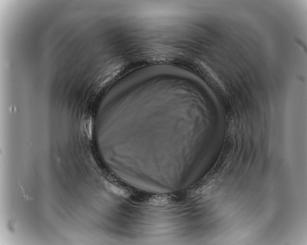 X0000094420076200711291600