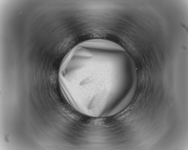 X0000094420078200711291600