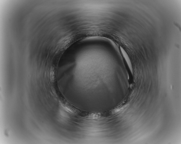 X0000094420080200711291600