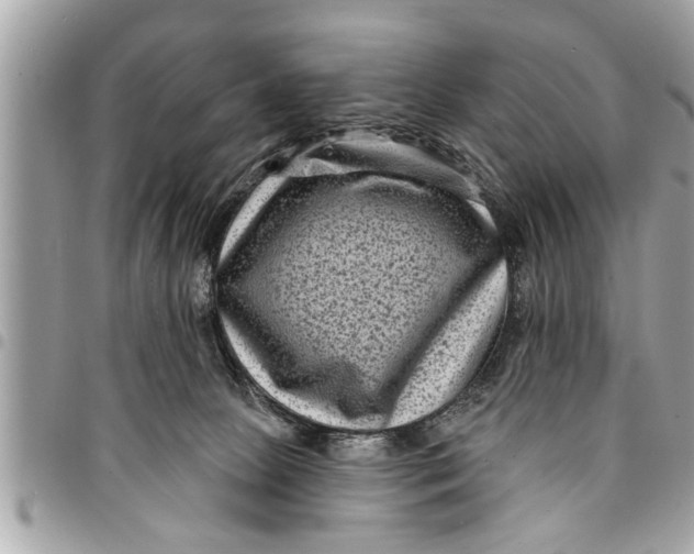 X0000094420081200711291600