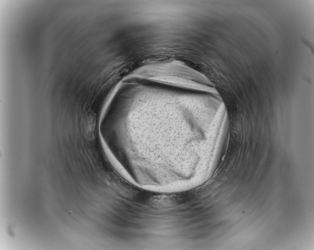 X0000094420082200711291600