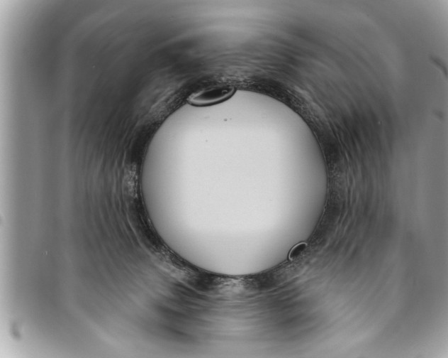 X0000094420083200711291600