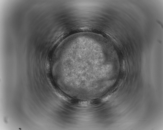 X0000094420084200711291600