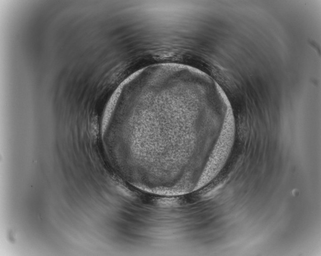 X0000094420085200711291600