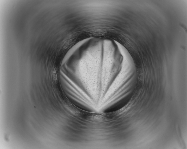 X0000094420086200711291600