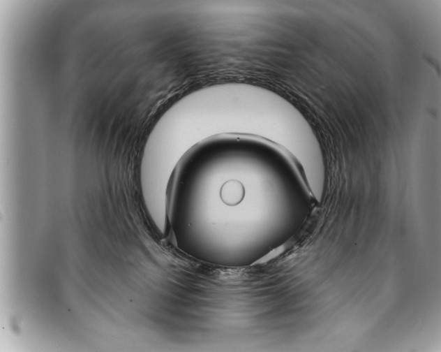 X0000094420088200711291600