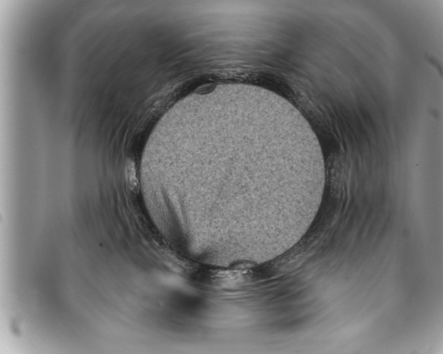 X0000094420089200711291600