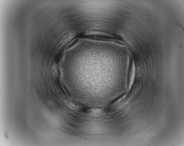 X0000094420093200711291600