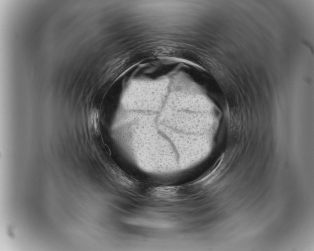 X0000094420094200711291600