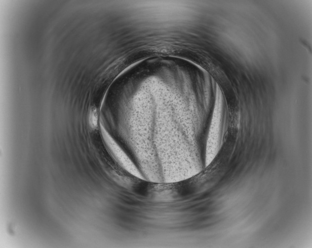 X0000094420095200711291600