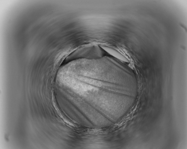 X0000094420097200711291559