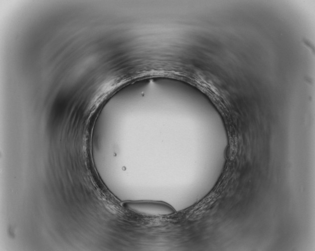 X0000094420098200711291559