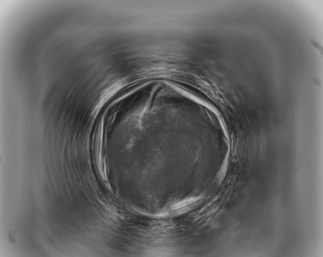 X0000094420099200711291559